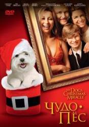 Чудо-пес / My Dog's Christmas Miracle (2011) новорічні фільми DivX- Дивитись фільми онлайн
